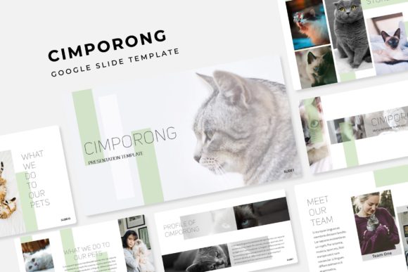 Master Your Pitch: The Cimporong Google Slide Template